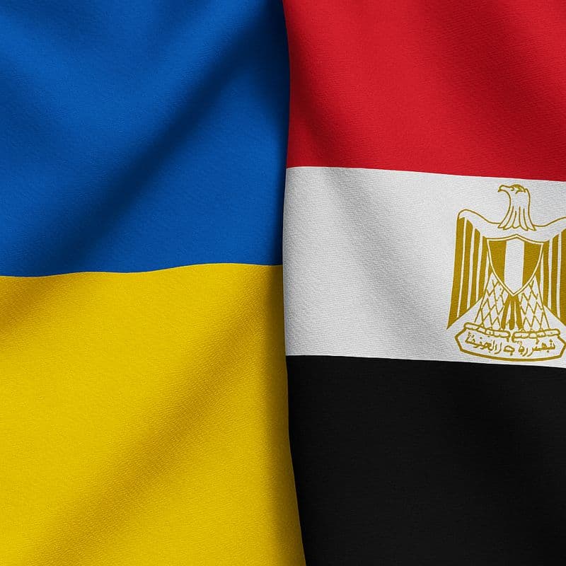 كعكة الـ 100 مليار دولار في أوكرانيا: أين تقف الشركات المصرية
