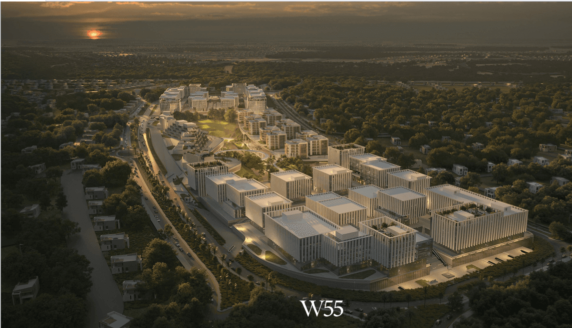 W55
